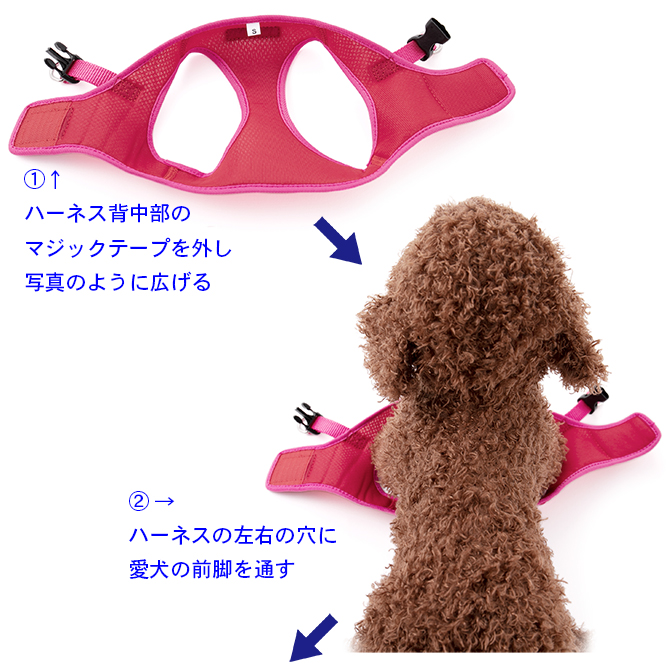 【超小型犬用胴輪】 シンプルメッシュハーネス SS・S・Mサイズ 装着方法 （1）ハーネス背中部のマジックテープを外し写真のように広げる （2）ハーネスの左右の穴に愛犬の前脚を通す
