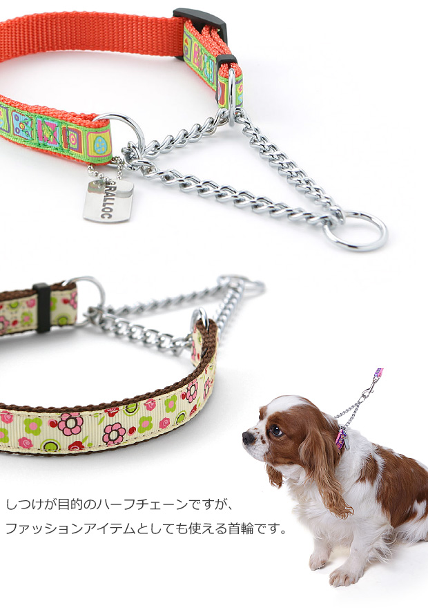 しつけが目的のハーフチェーンですが、ファッションアイテムとしても使える愛犬のための首輪です。