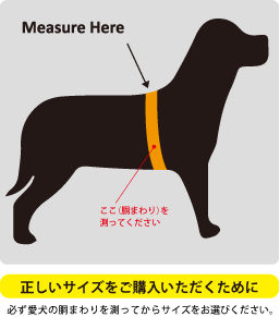 正しいサイズをご購入いただくために。必ず愛犬の胴まわりを測ってからサイズをお選びください。