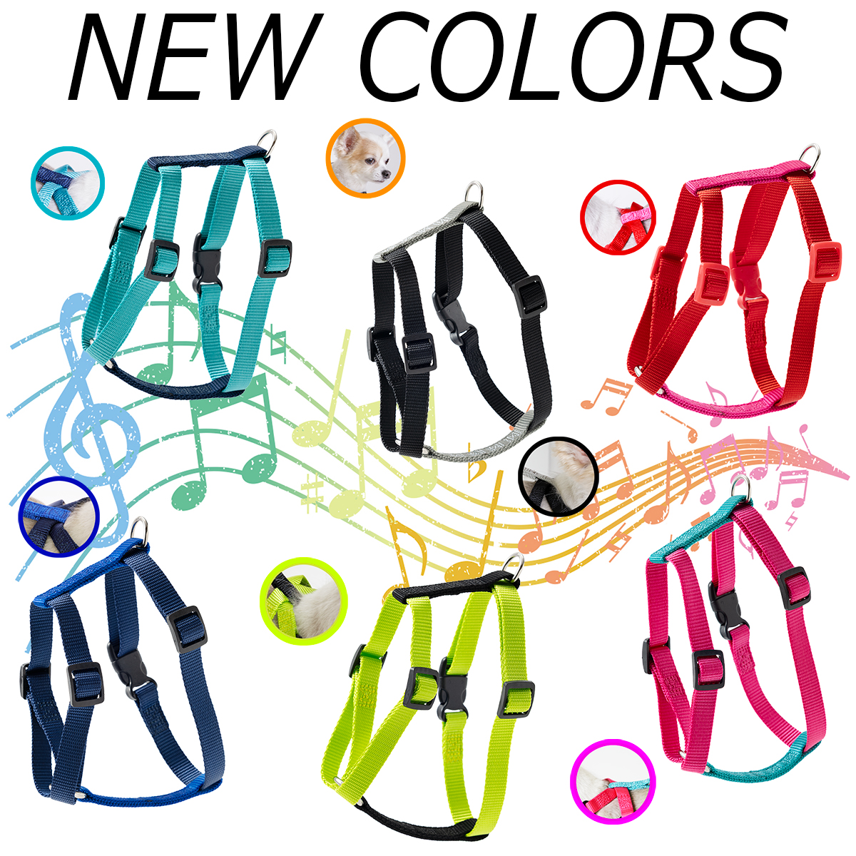 New Colorsの紹介画像