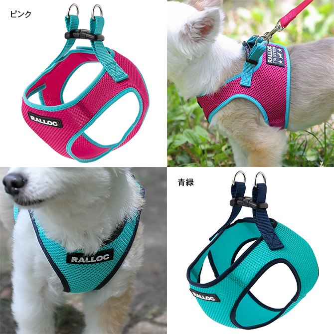 【超小型犬用胴輪】 シンプルメッシュハーネス SS・S・Mサイズ ピンク、青緑 装着写真