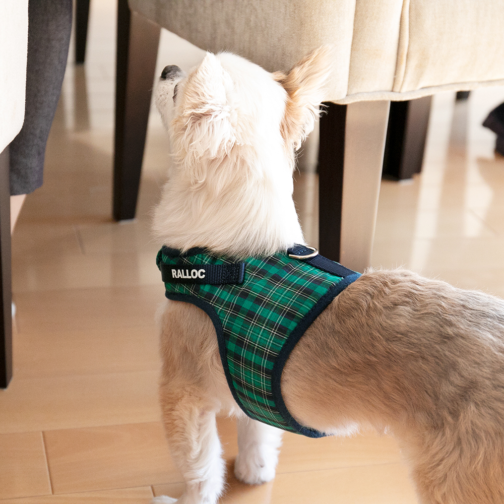【超小型犬用・小型犬用胴輪】 シンプルベストハーネス ファッション タータングリーン 装着写真