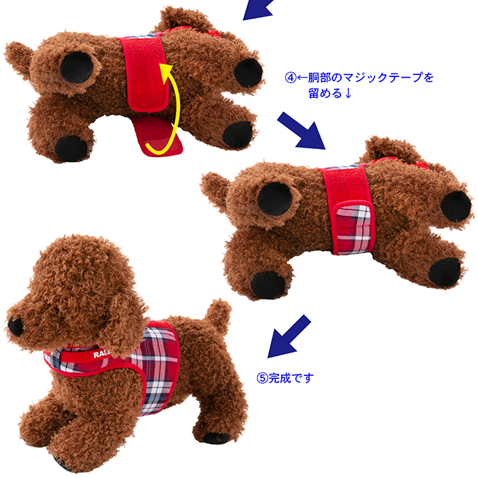 【超小型犬用・小型犬用胴輪】 シンプルベストハーネス ファッション 装着方法2