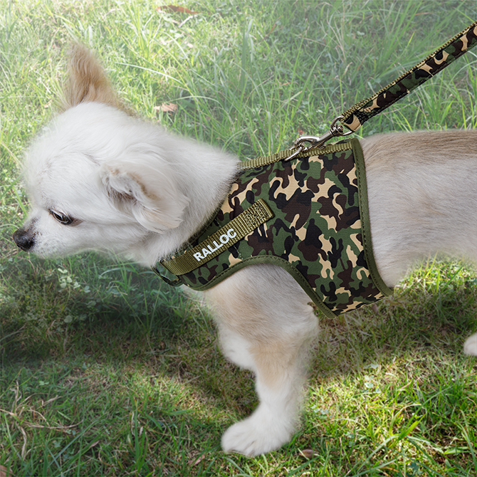 【超小型犬用・小型犬用胴輪】 シンプルベストハーネス ファッション 迷彩グリーン 装着写真