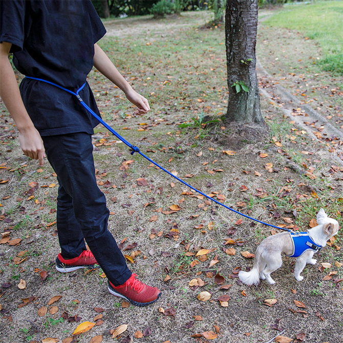 【超小型犬・小型犬用引きひも】シンプルショルダーリード Sサイズ 青 使用写真