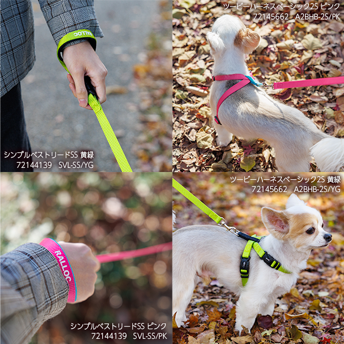 【超小型犬用・小型犬用胴輪】 ツービーハーネス ベーシック 色：ピンク、黄緑 お散歩写真