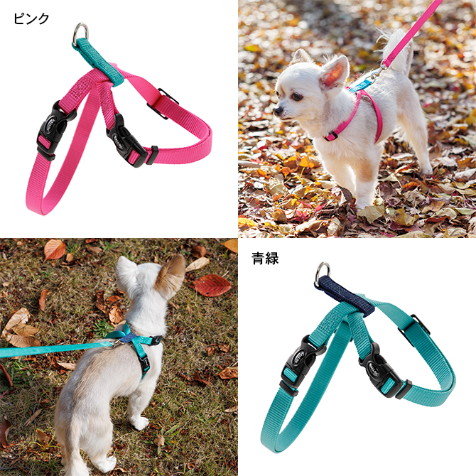 【超小型犬用・小型犬用胴輪】 ツービーハーネス ベーシック バリエーション色：ピンク、青緑