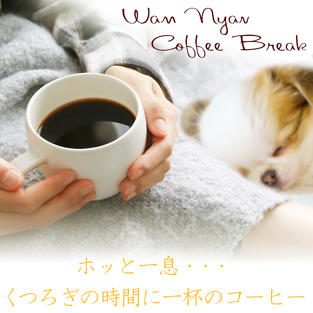 ドリップコーヒーホッと一息イメージ写真