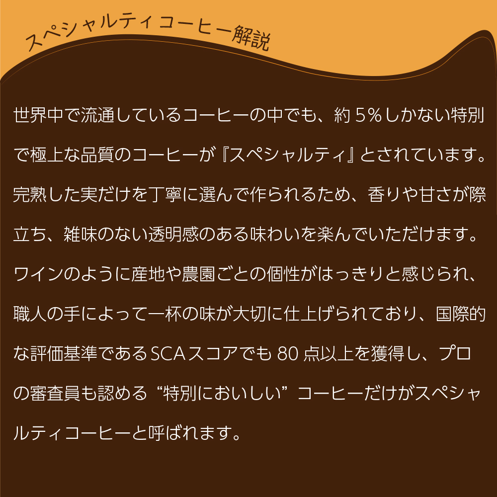 スペシャルティコーヒー解説