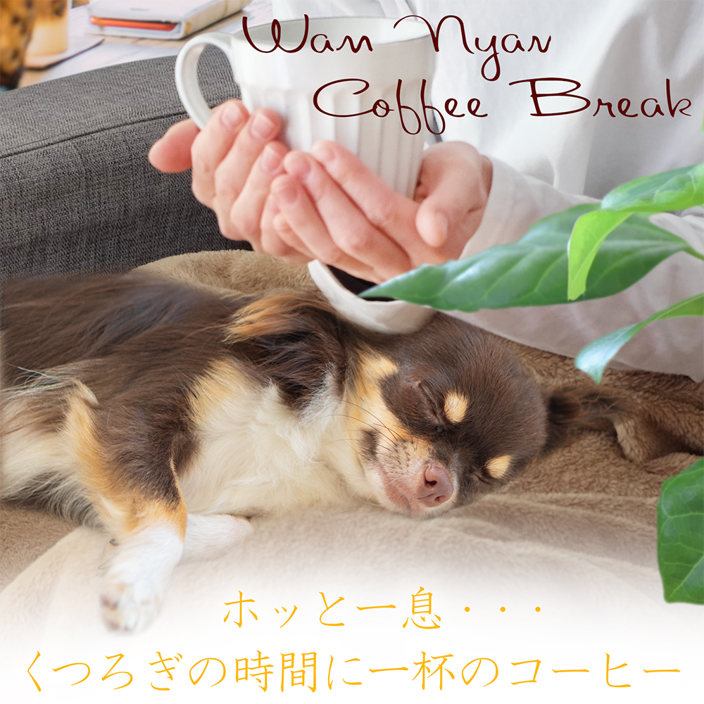 ドリップコーヒーホッと一息イメージ写真