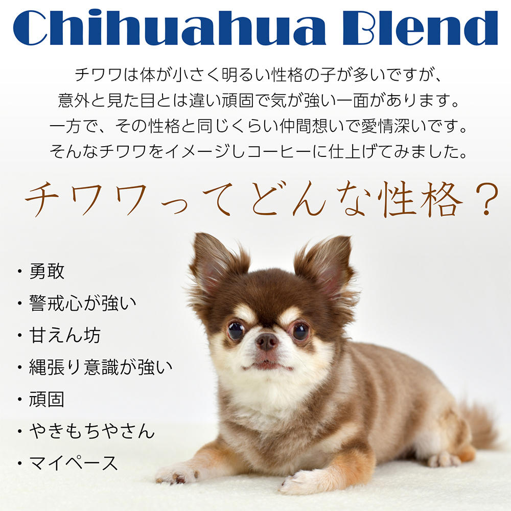 チワワってどんな性格？