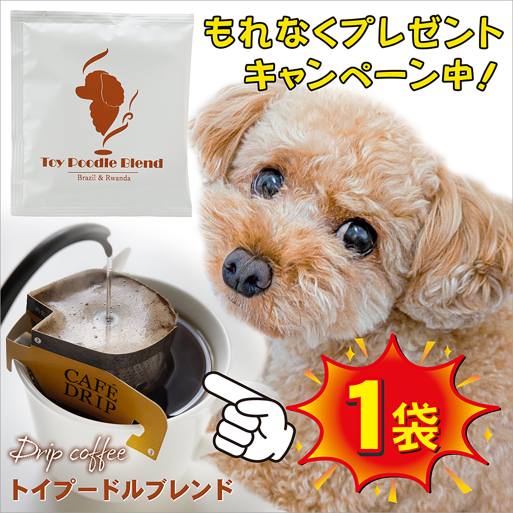 スペシャルティコーヒートイプードルブレンドプレゼントキャンペーン中
