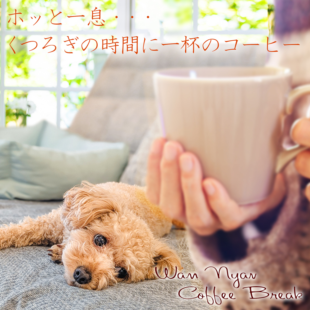 ホット一息くつろぎの時間に一杯のコーヒー