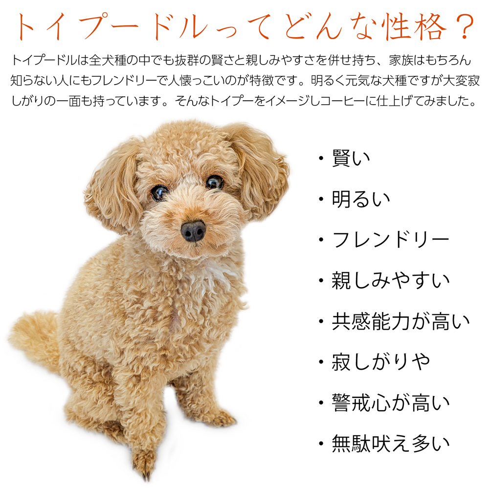トイプードルってどんな性格？